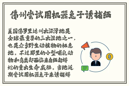 亚洲精华液一区二区三区